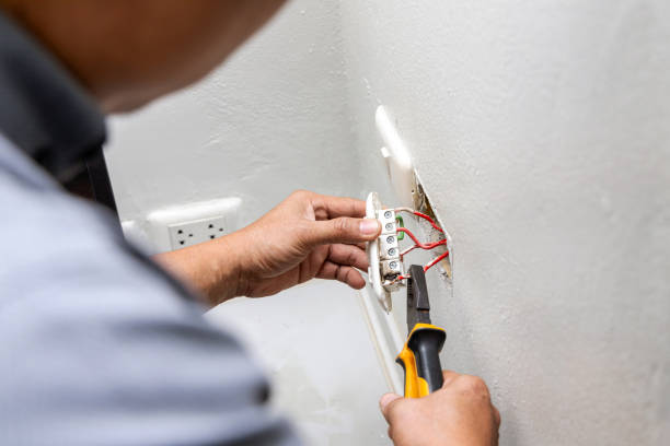 Best Outdoor Lighting Installation  in Telford, TN